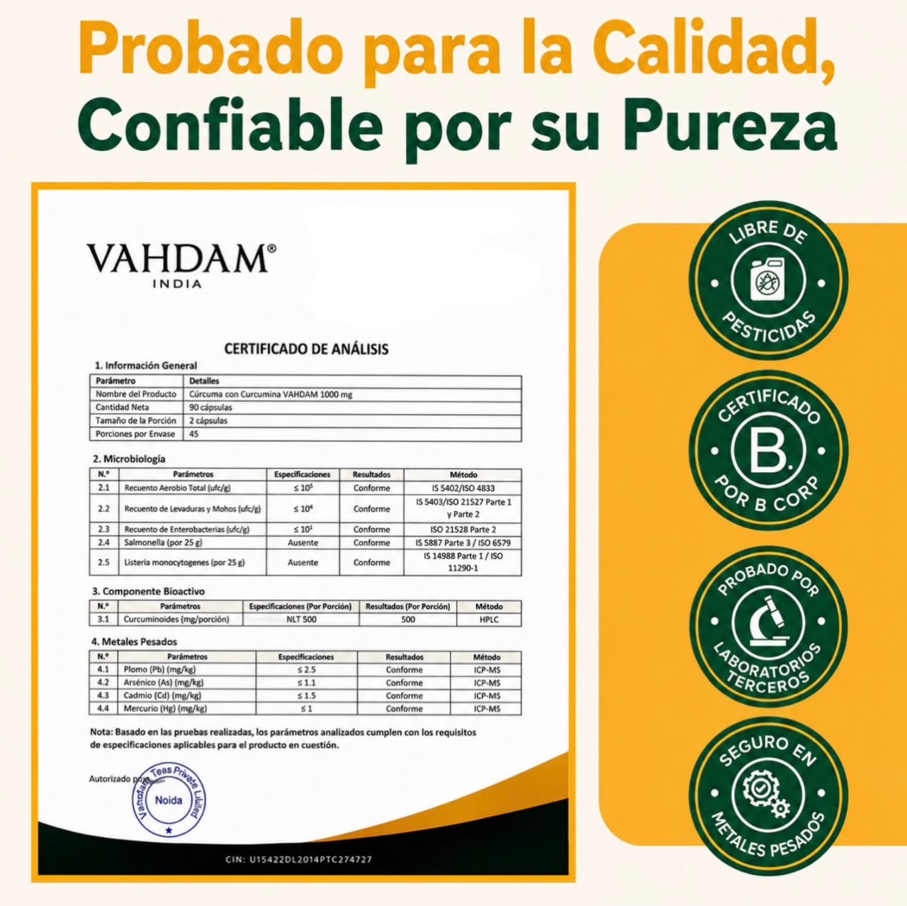 Suplemento de cúrcuma y curcumina Lakadong