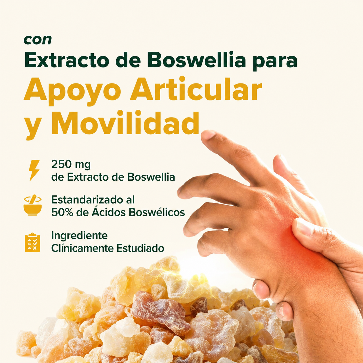Suplemento de cúrcuma y curcumina Lakadong