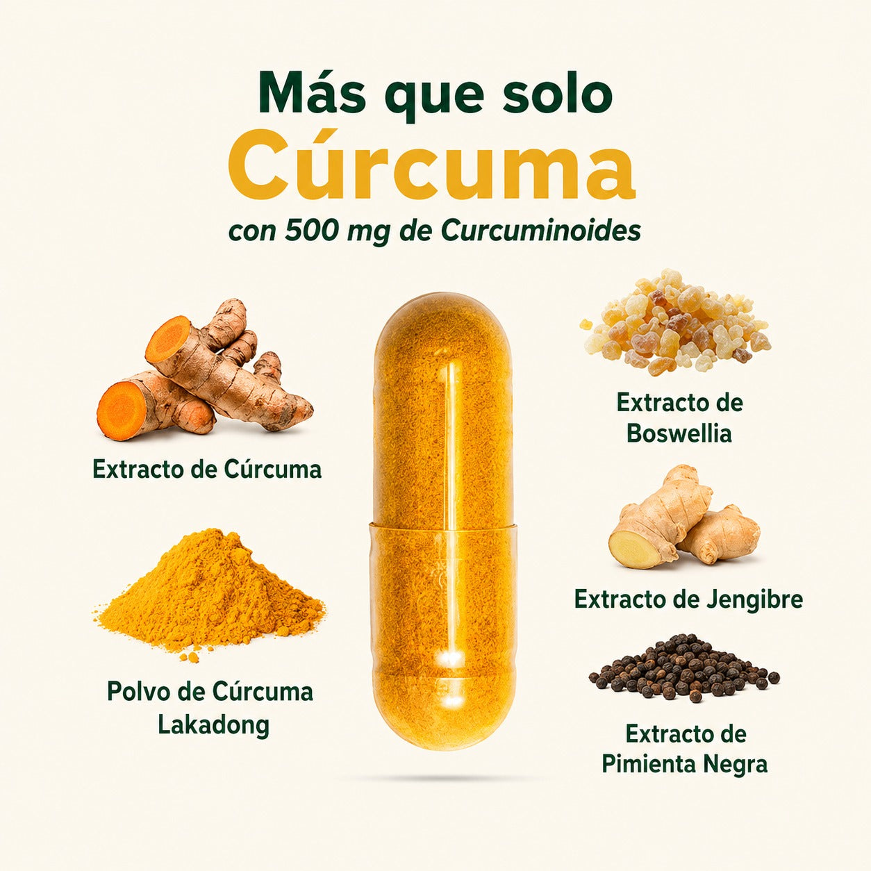 Suplemento de cúrcuma y curcumina Lakadong