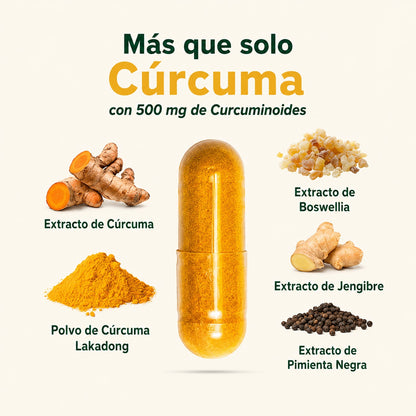 Suplemento de cúrcuma y curcumina Lakadong