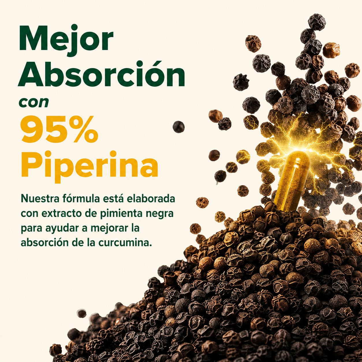 Suplemento de cúrcuma y curcumina Lakadong